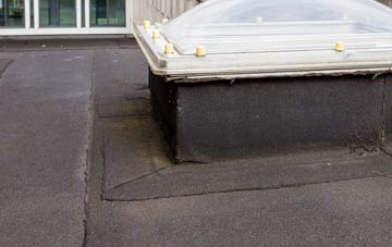 disadvantages of Seaborough flat roofs